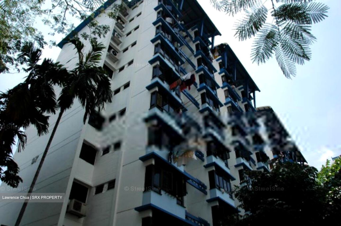 Blk 97 Whampoa Drive (Toa Payoh), HDB 3 Rooms #398880391